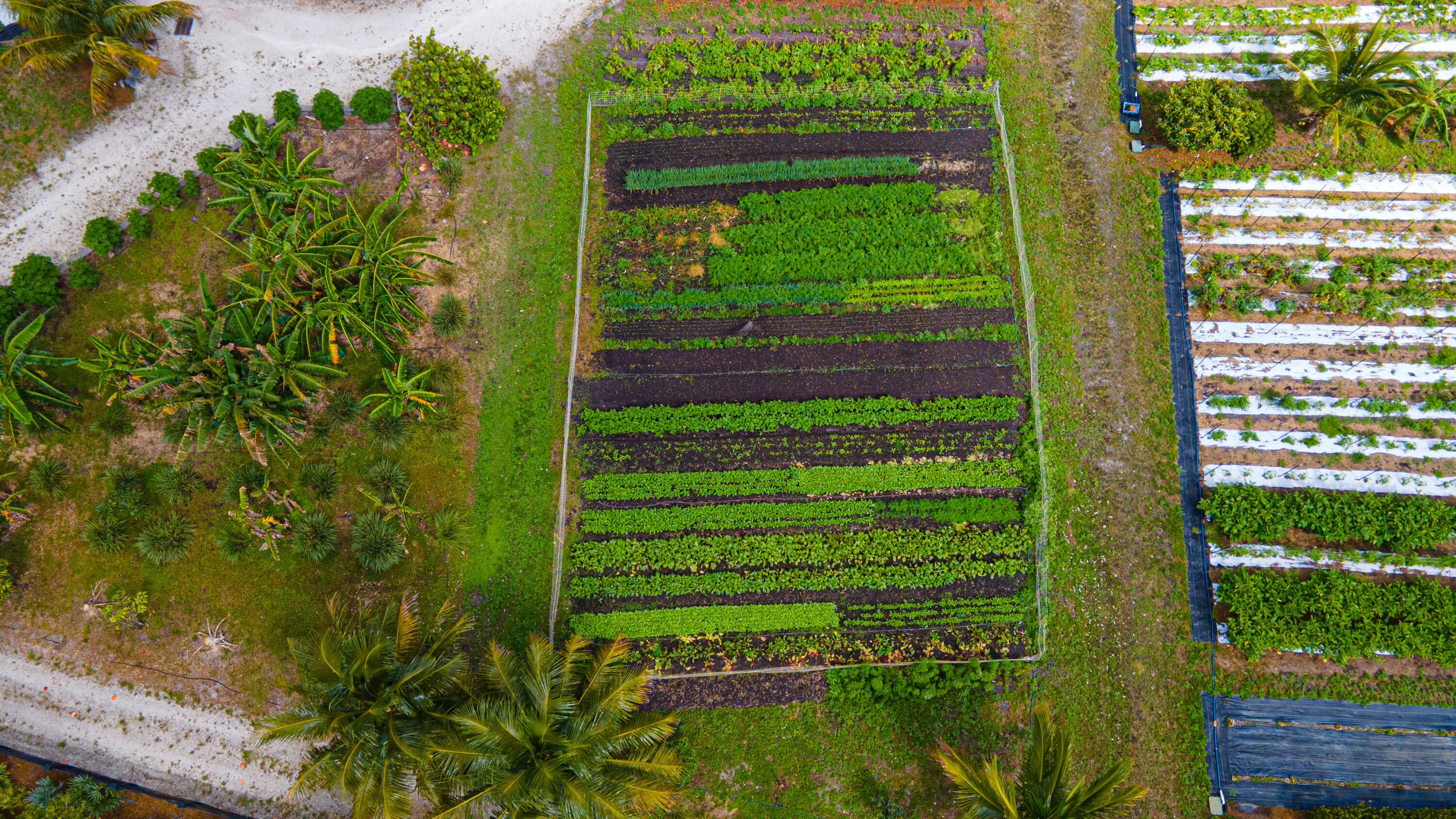 19082 Croft Mill Xing Crossing