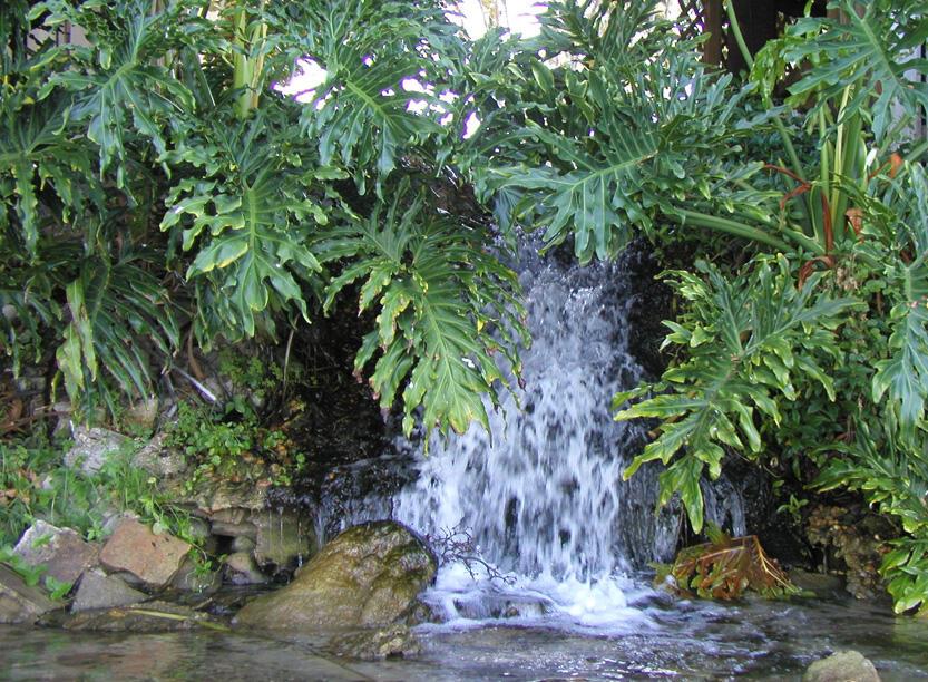 118 Lake Emerald Drive 108