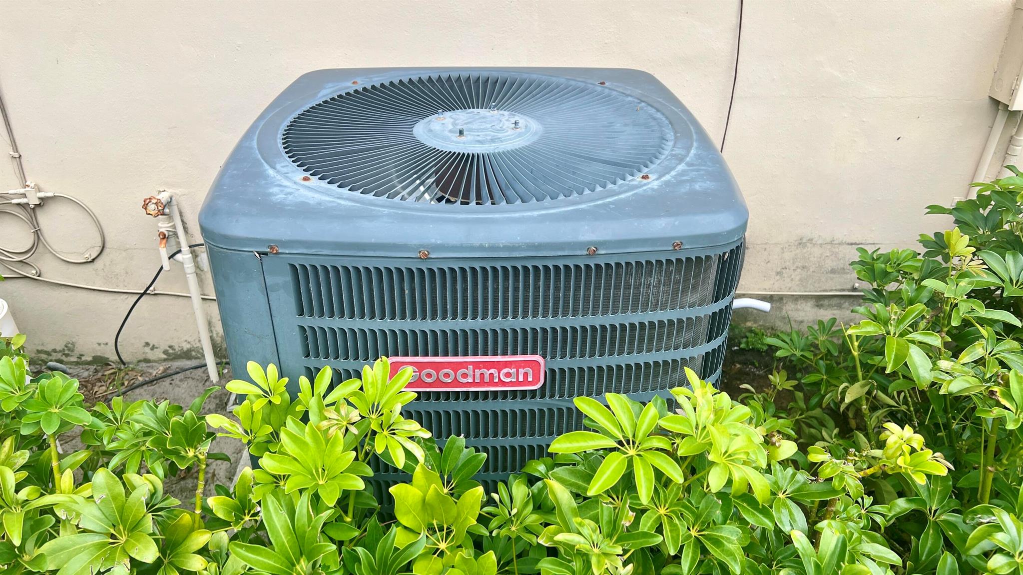 4272 Woodstock Drive D