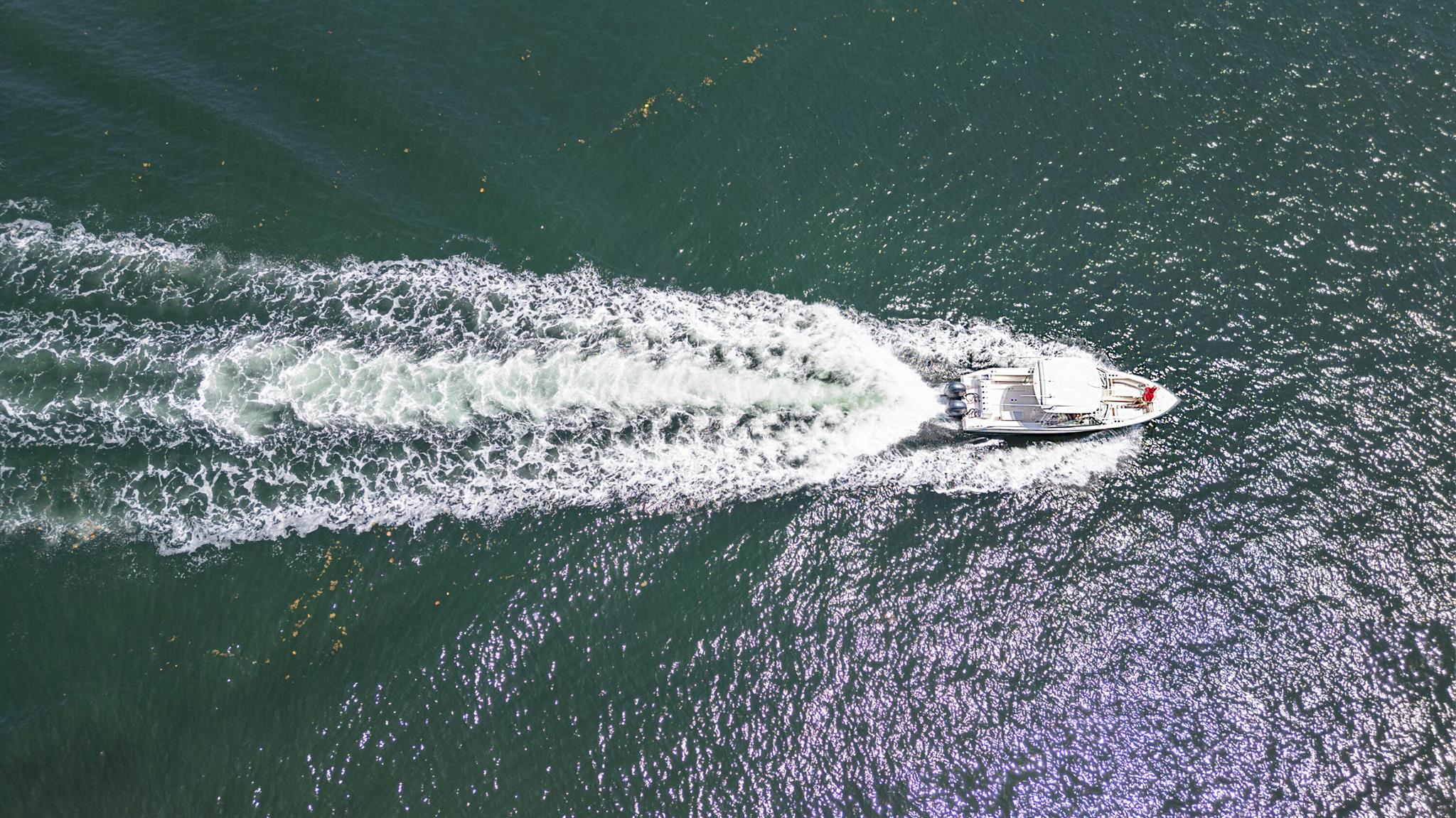 1198 Hillsboro Mile 122