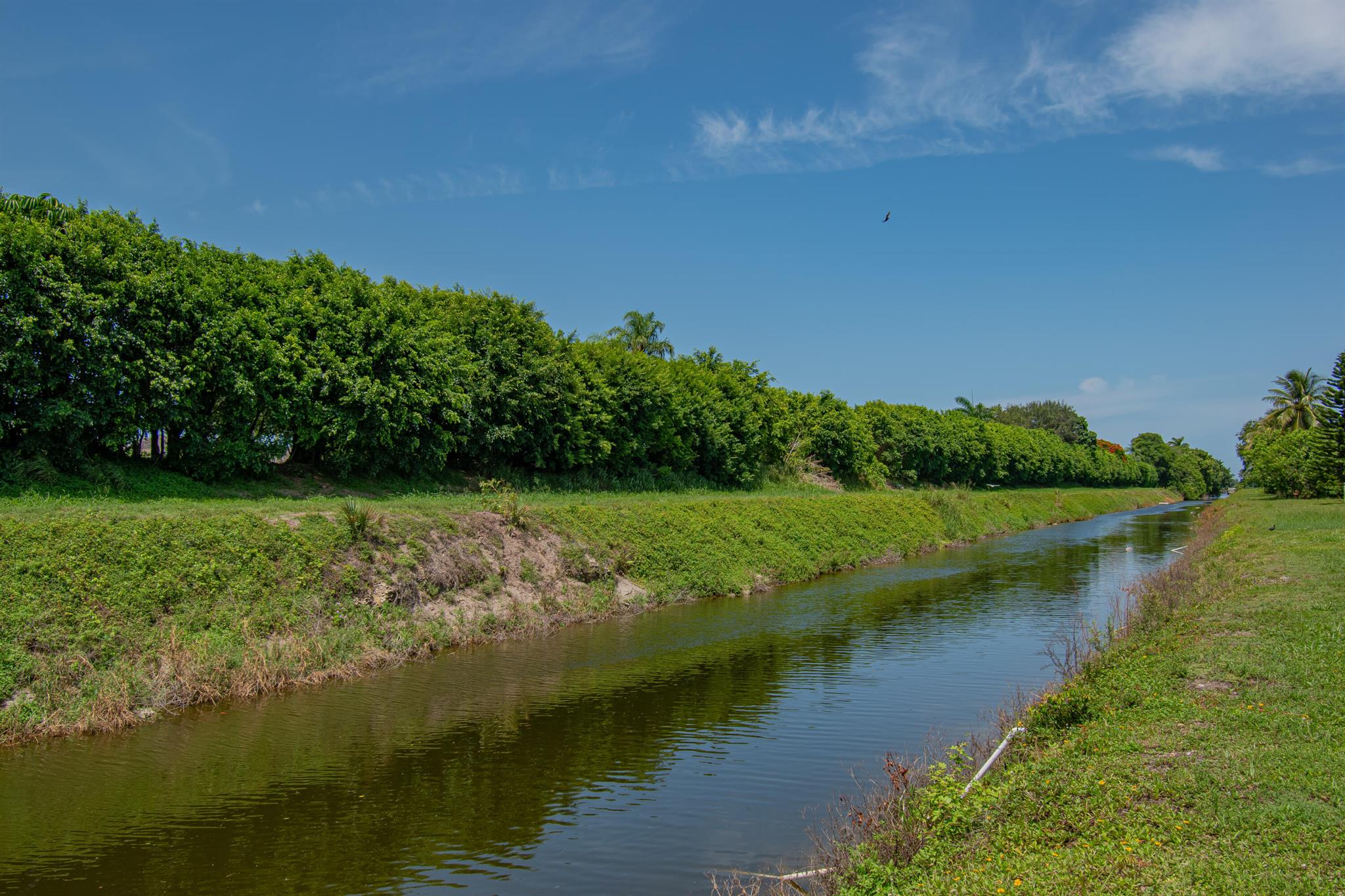 7460 San Sebastian Drive