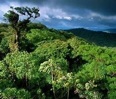 000000 Quintas Berninas