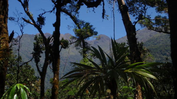 000000 Quintas Berninas