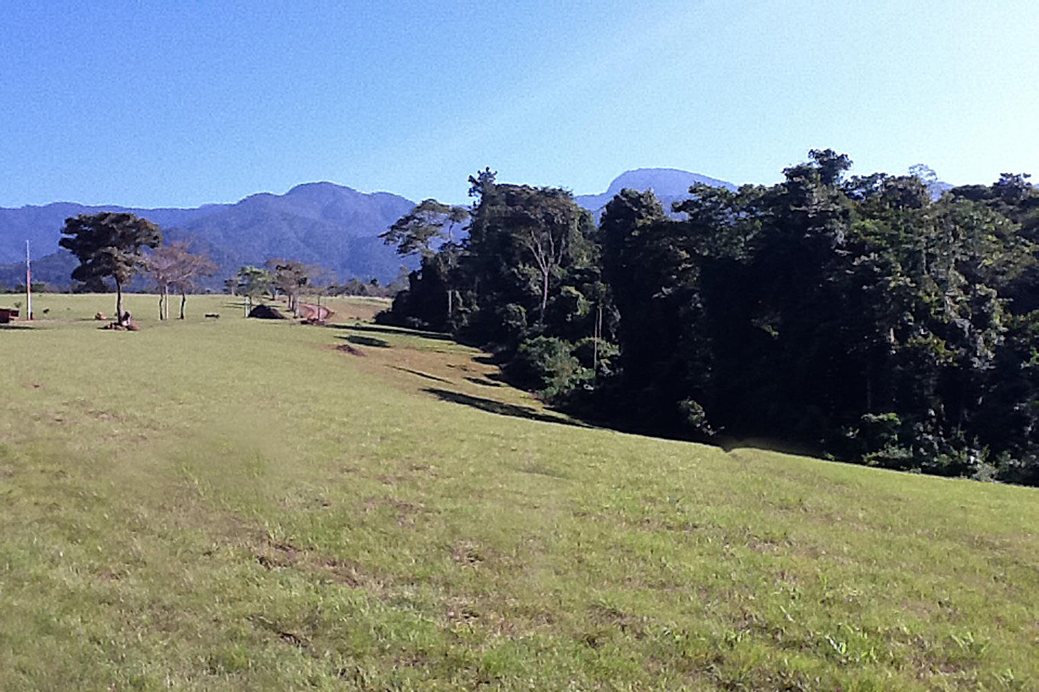 000000 Quintas Berninas