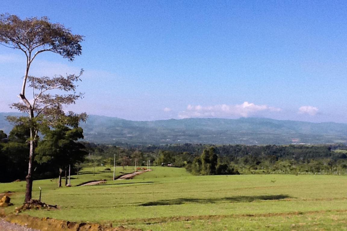 000000 Quintas Berninas