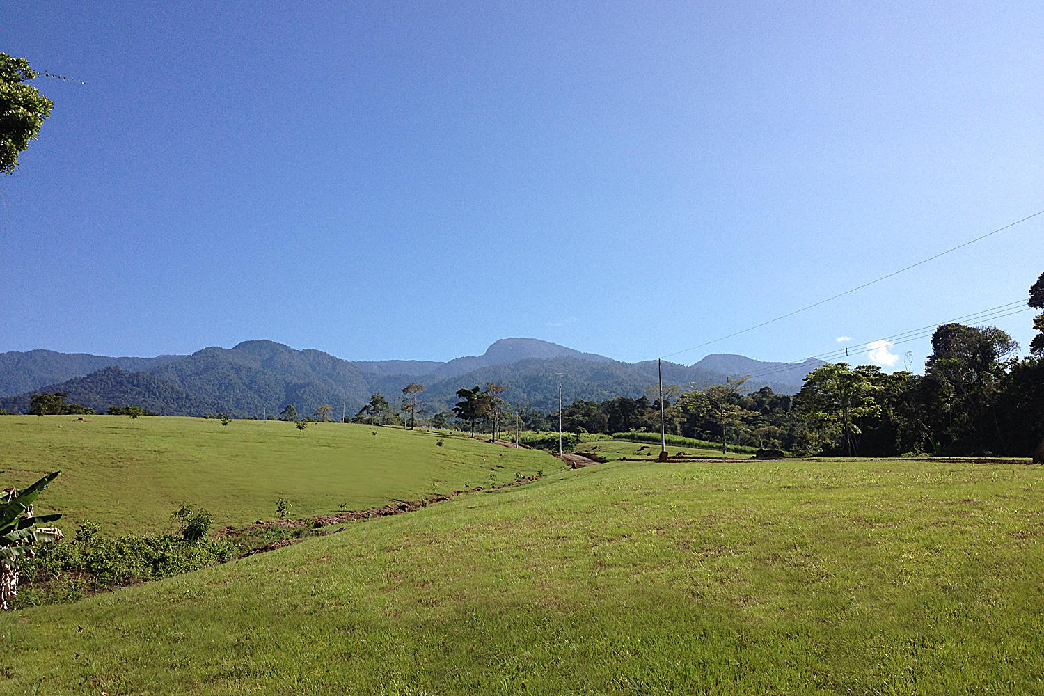 000000 Quintas Berninas