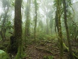 000000 Quintas Berninas