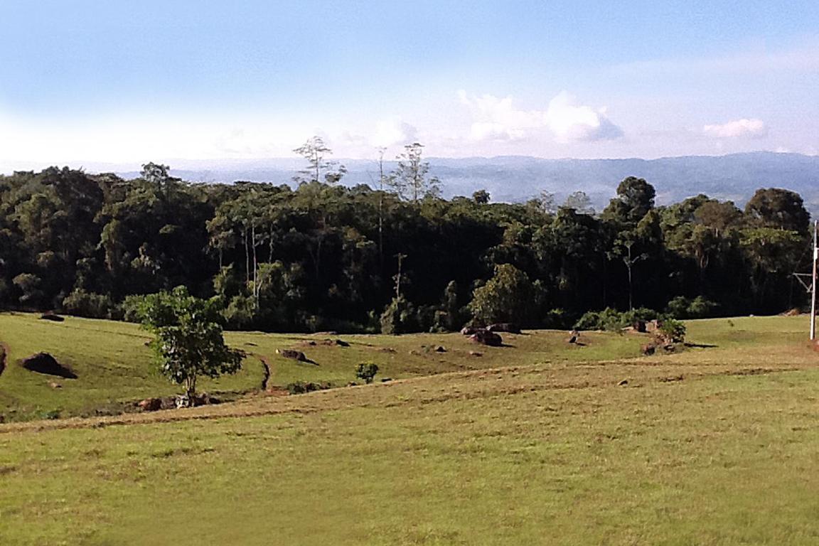 000000 Quintas Berninas