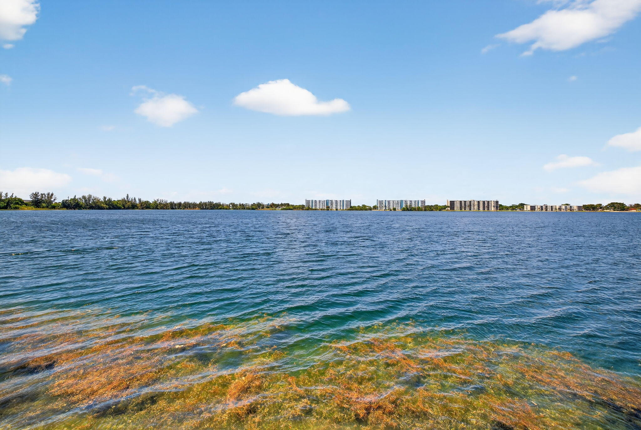 117 Lake Emerald Drive 208