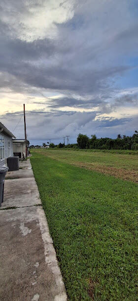 4385 Mocking Bird Drive