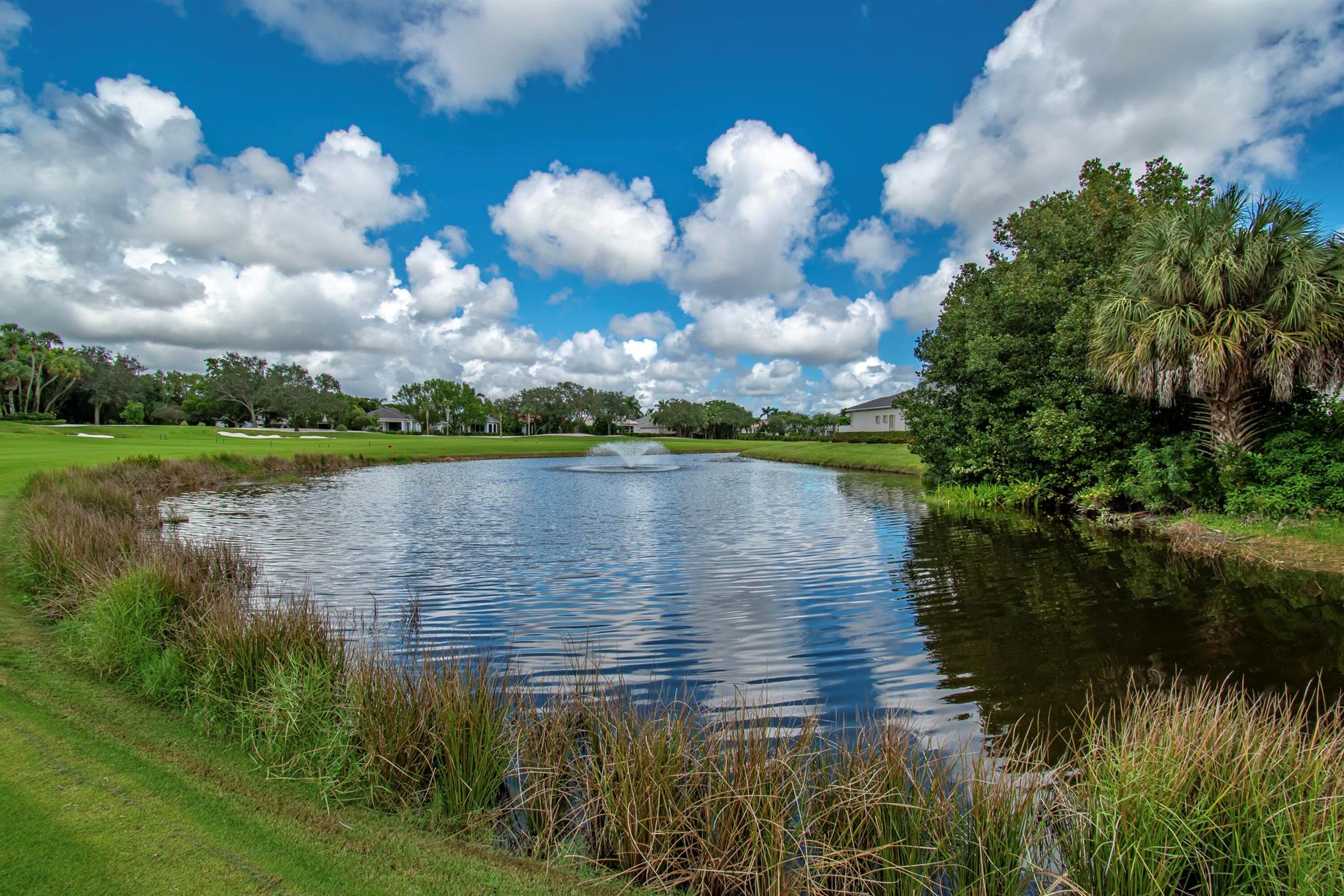 7916 Montecito Place