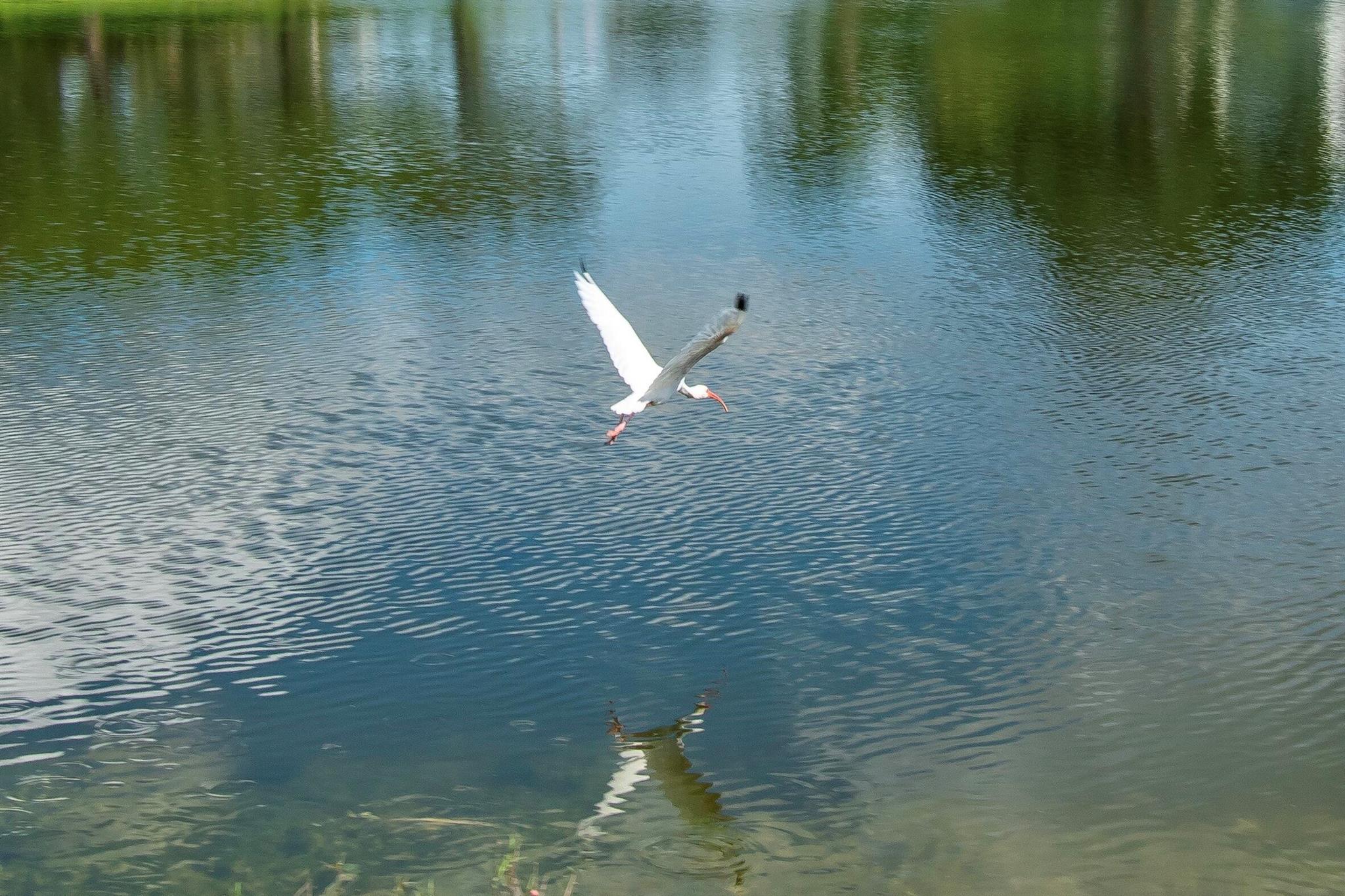 2085 Wolverton E 2085