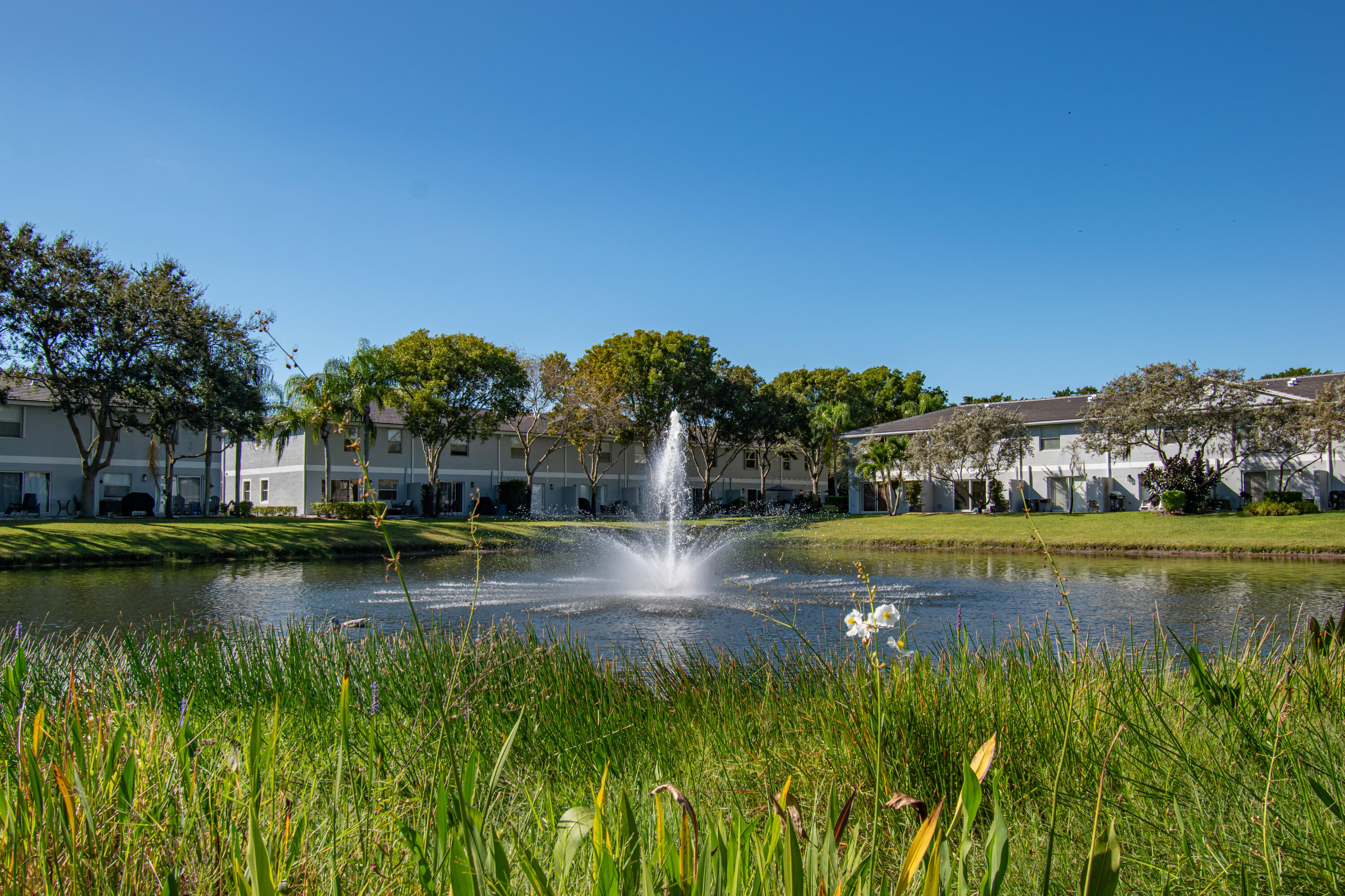 16081 Sierra Palms Drive