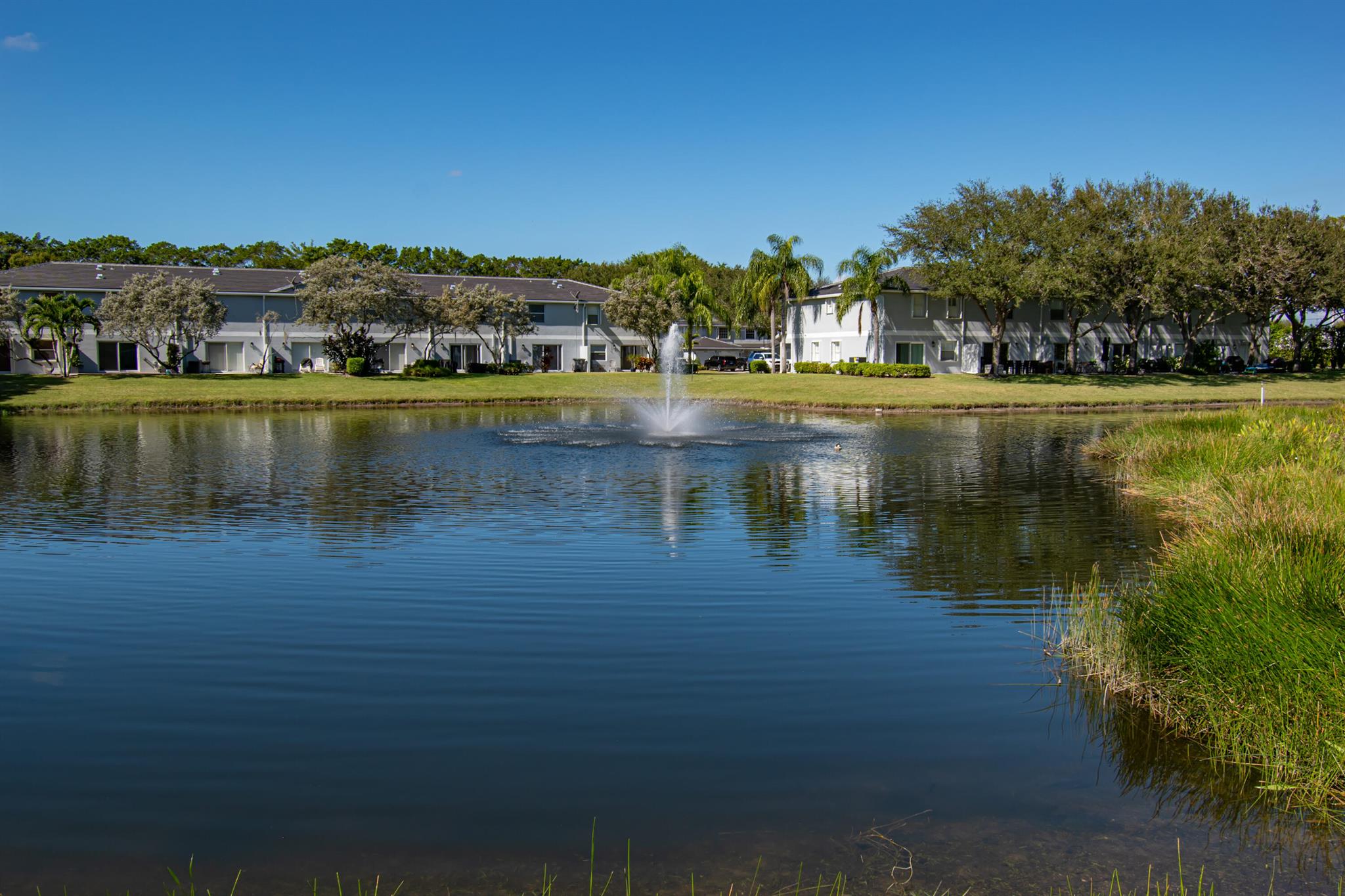 16081 Sierra Palms Drive