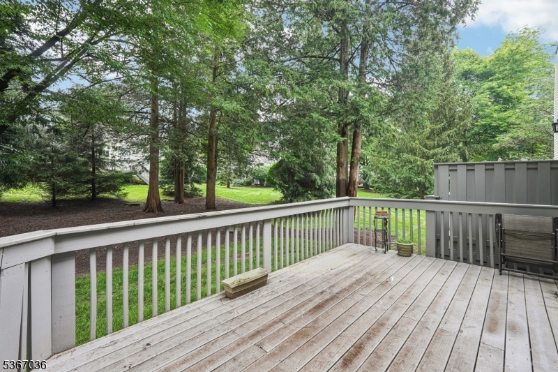 55 Hunter Rd