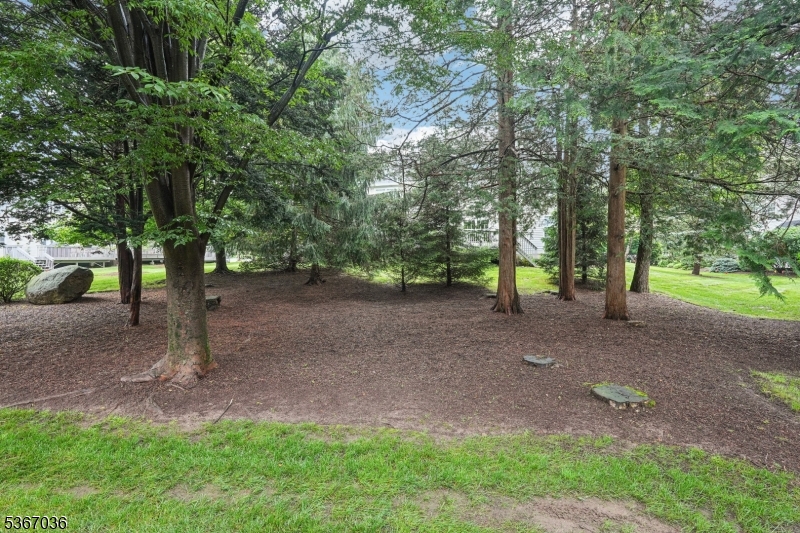 55 Hunter Rd