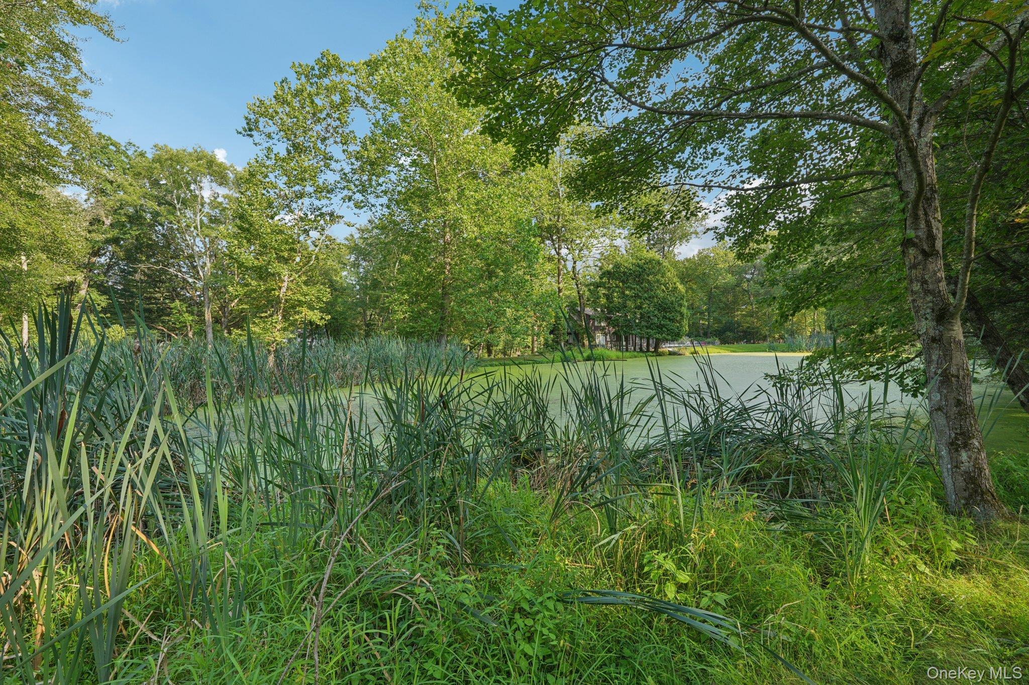 11 Old Phillips Hill Road