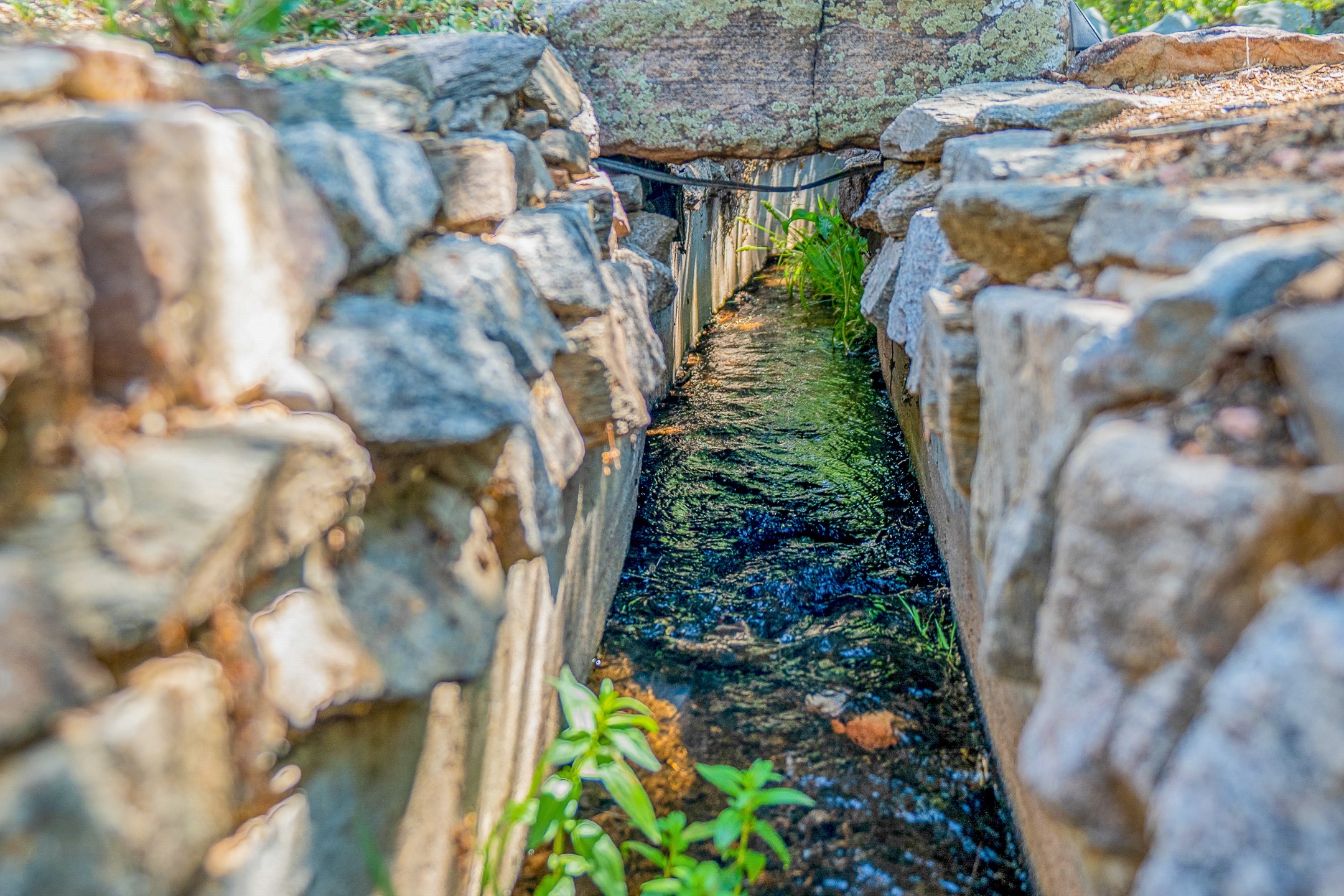 1688 Upper Canyon Road