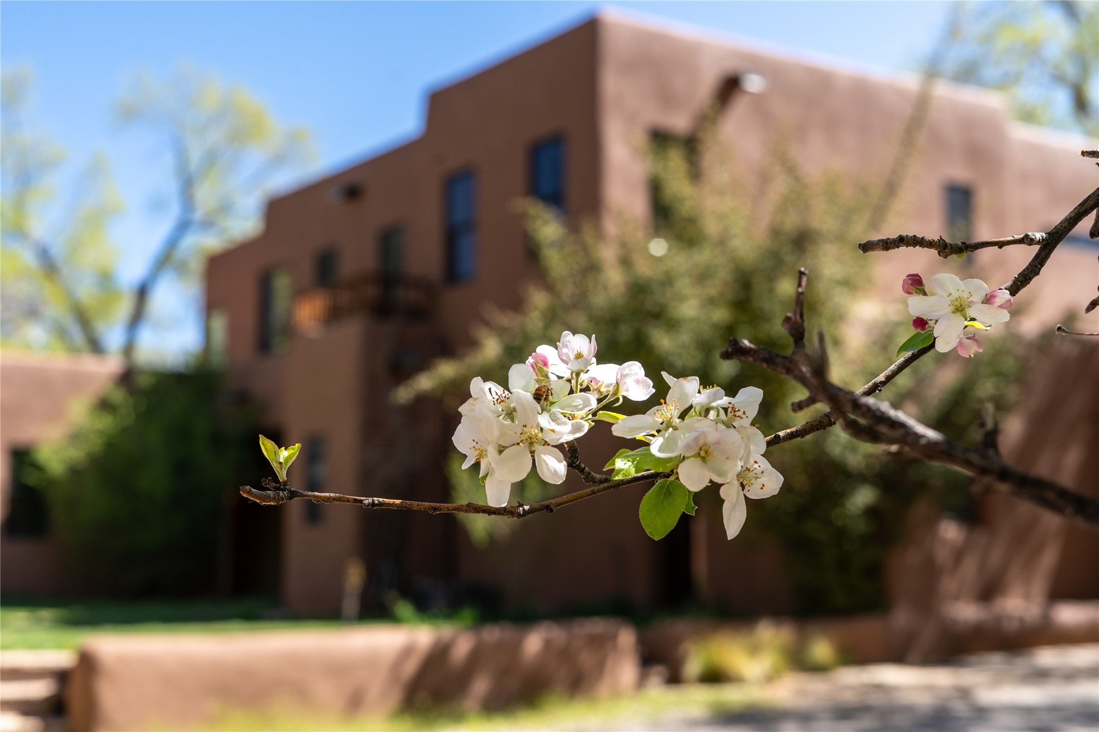 1101 Don Gaspar Avenue