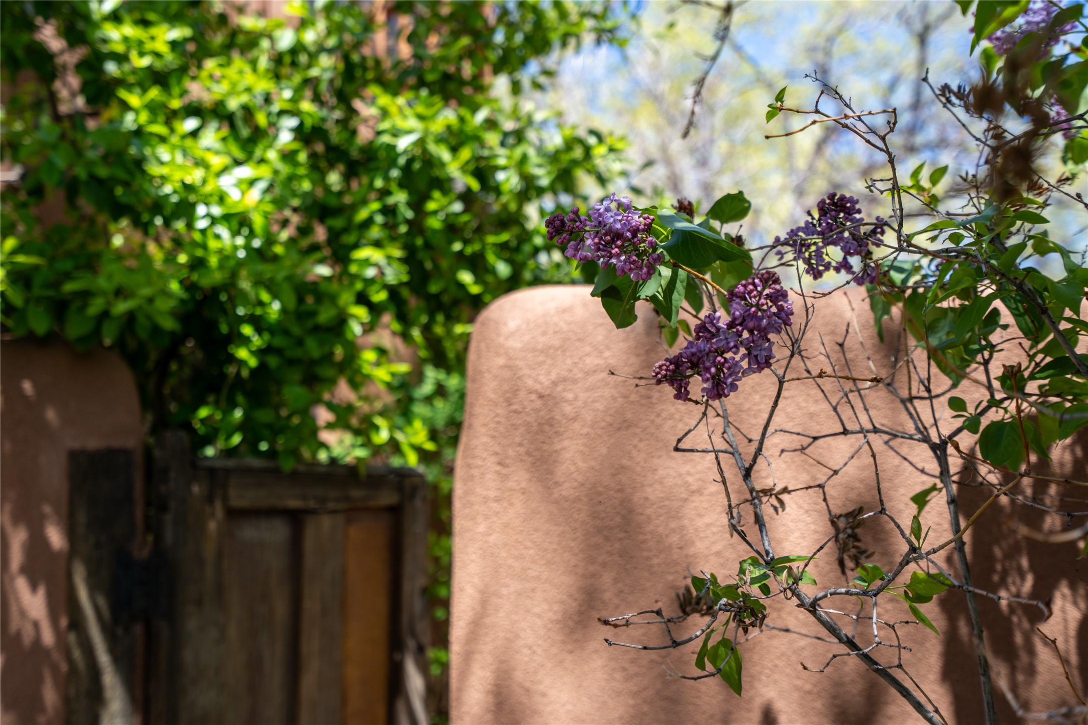 1101 Don Gaspar Avenue