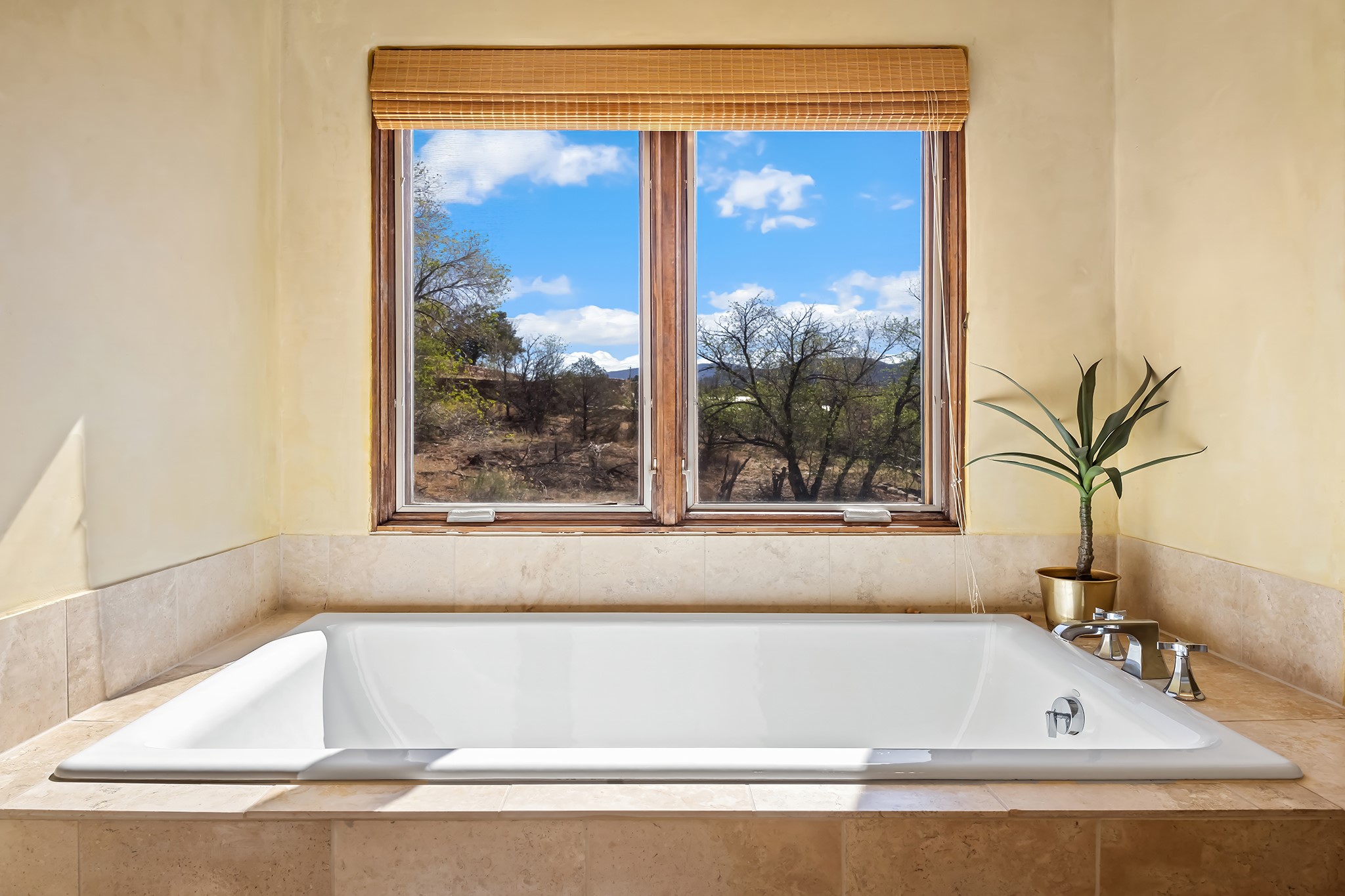 231 1/2 Rosario Boulevard