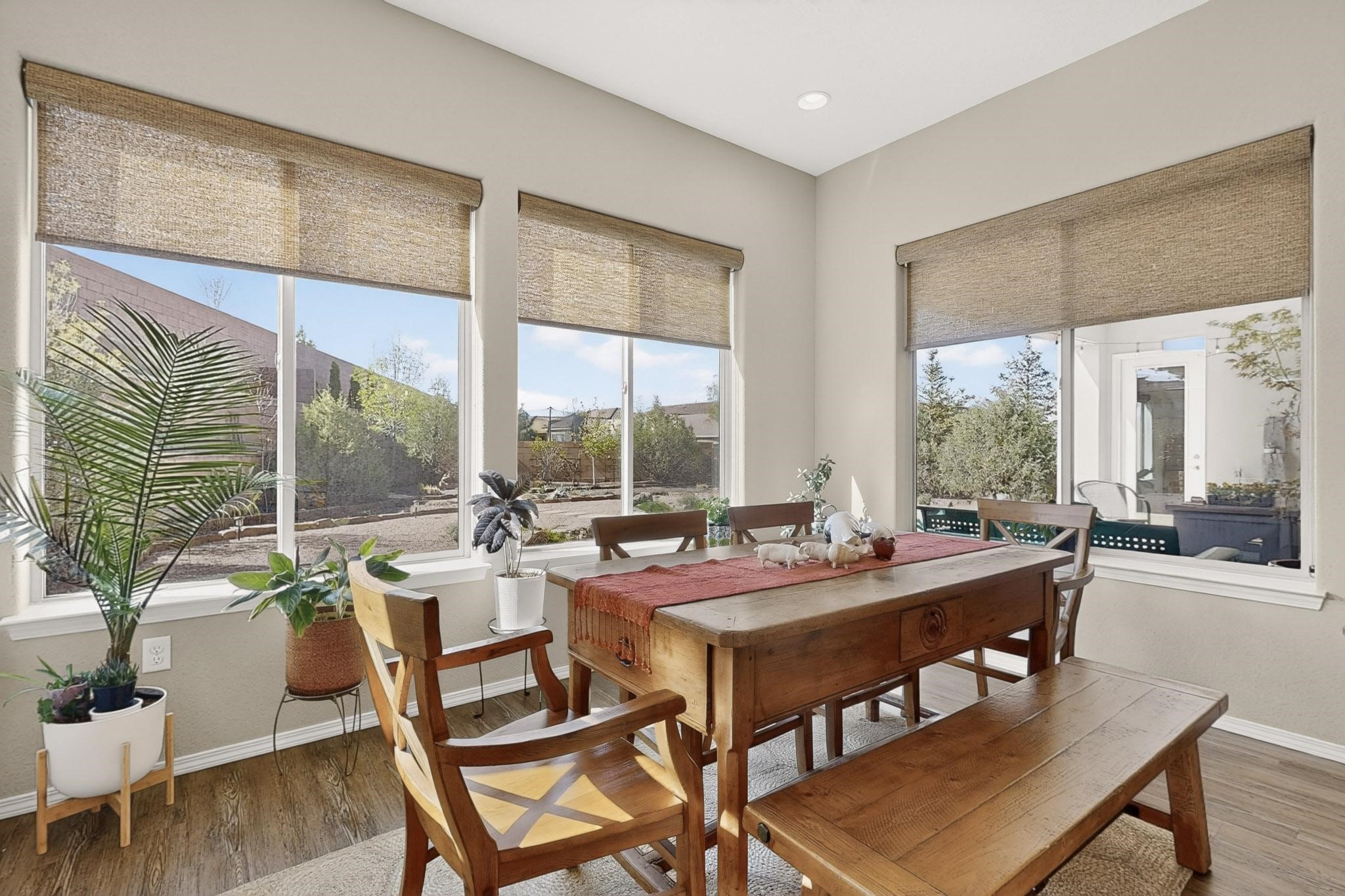 4141 Arboles Bonitos