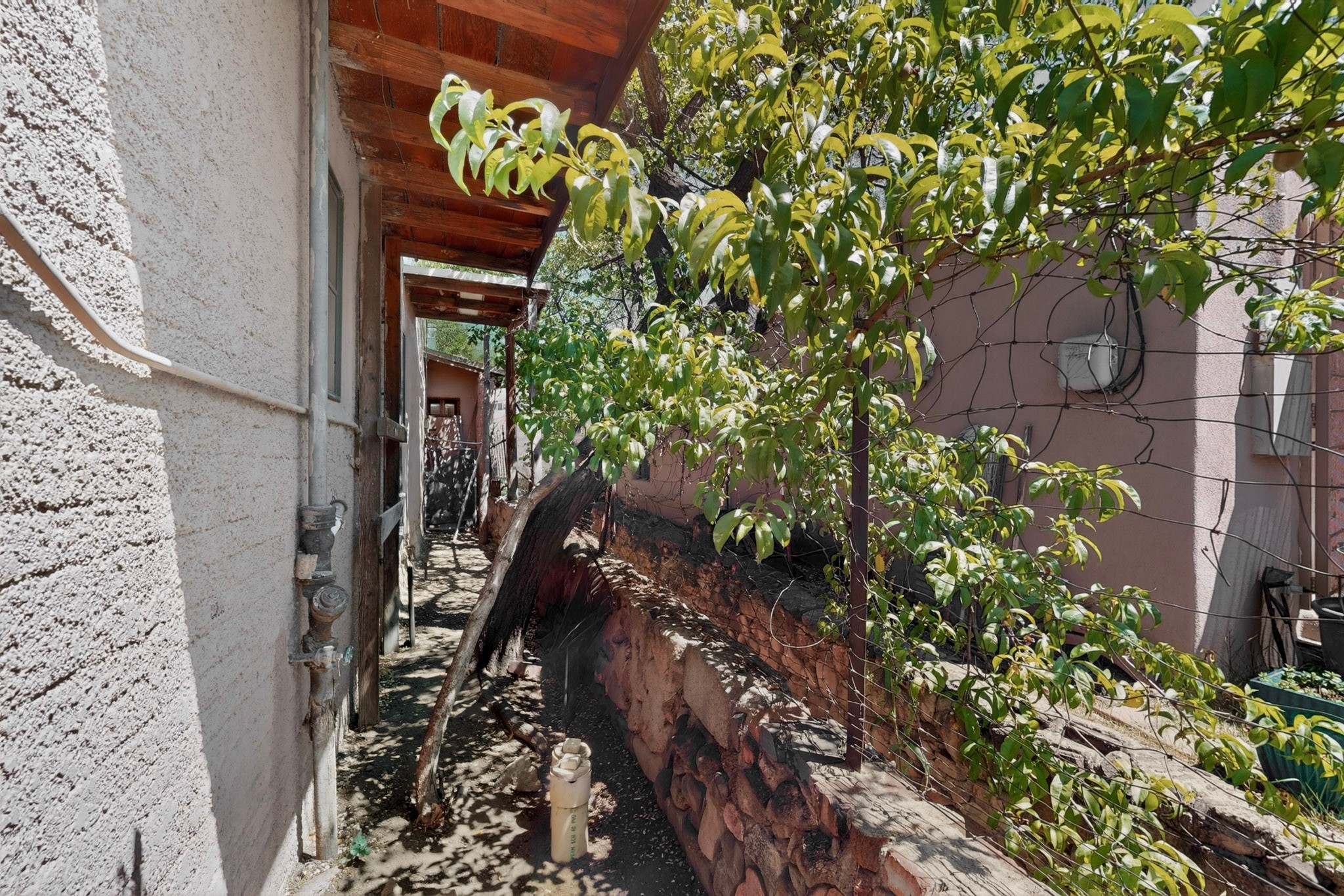 318 Pino Road