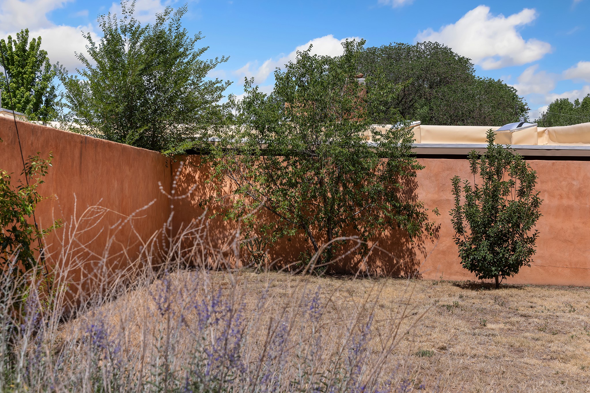 208 Delgado Street 3