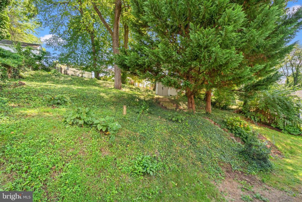 12215 JUDSON ROAD