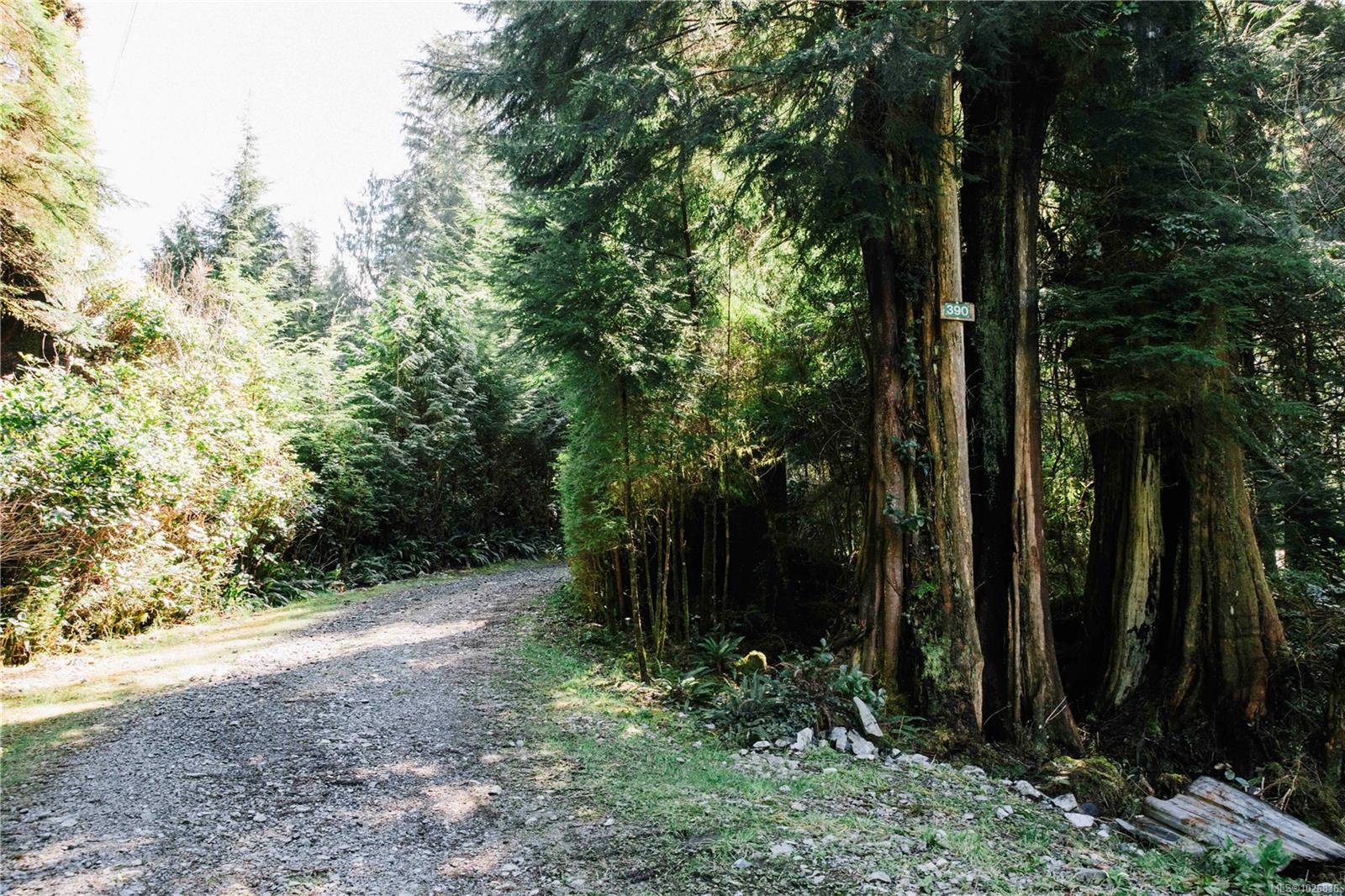 390 Bamfield Inlet