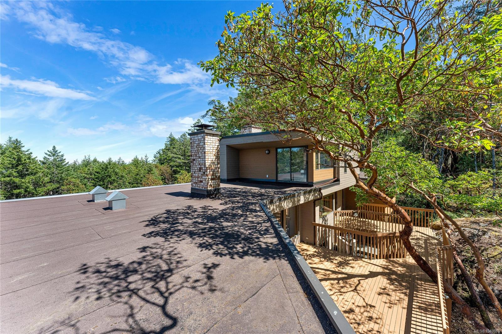 260 Moss Hill Pl