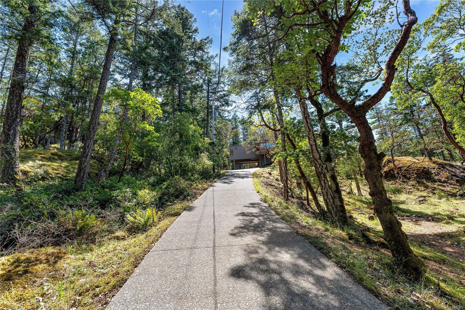 260 Moss Hill Pl