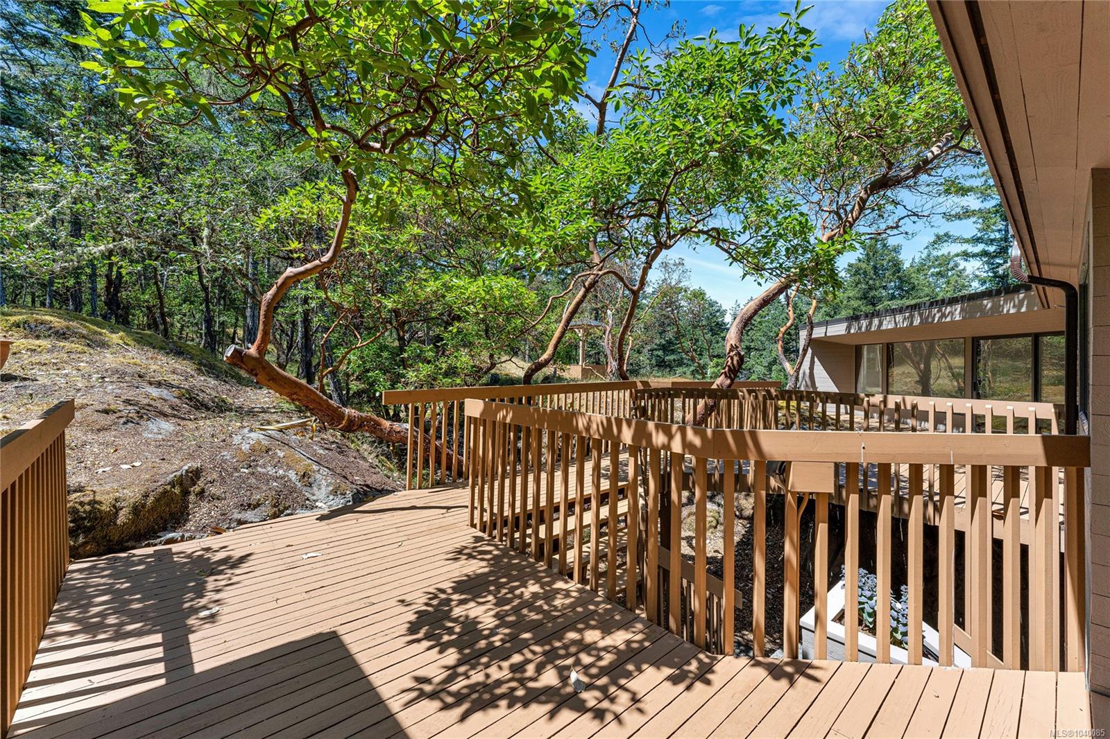 260 Moss Hill Pl