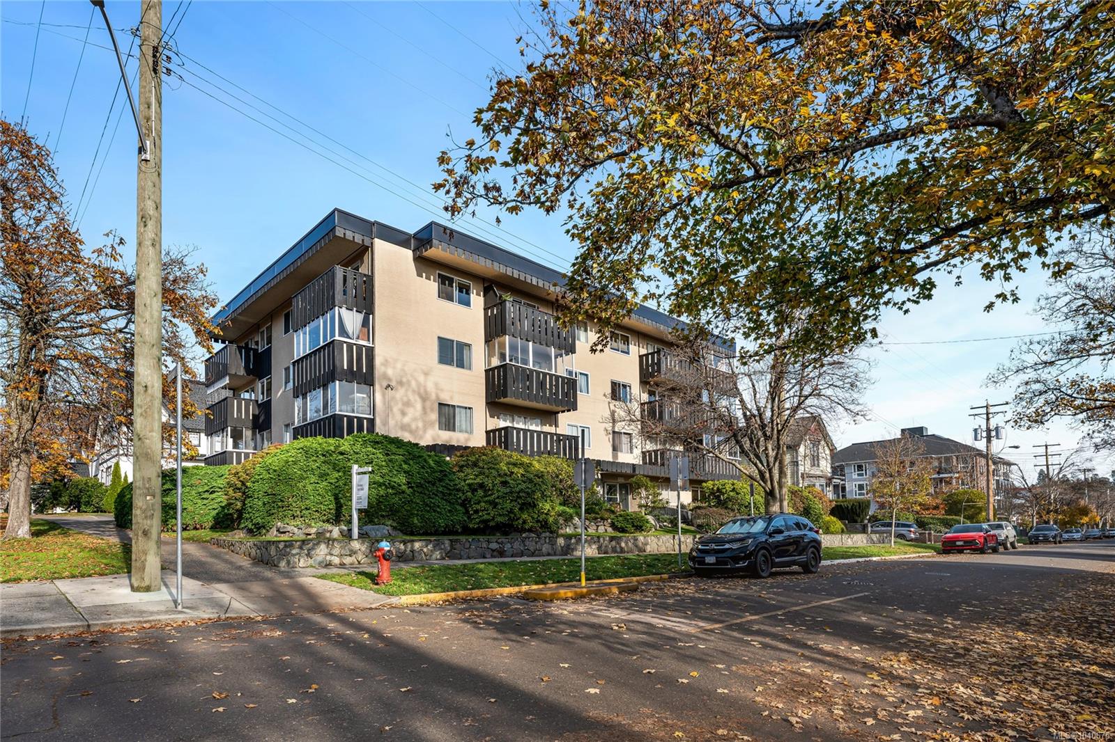 1000 McClure St #302