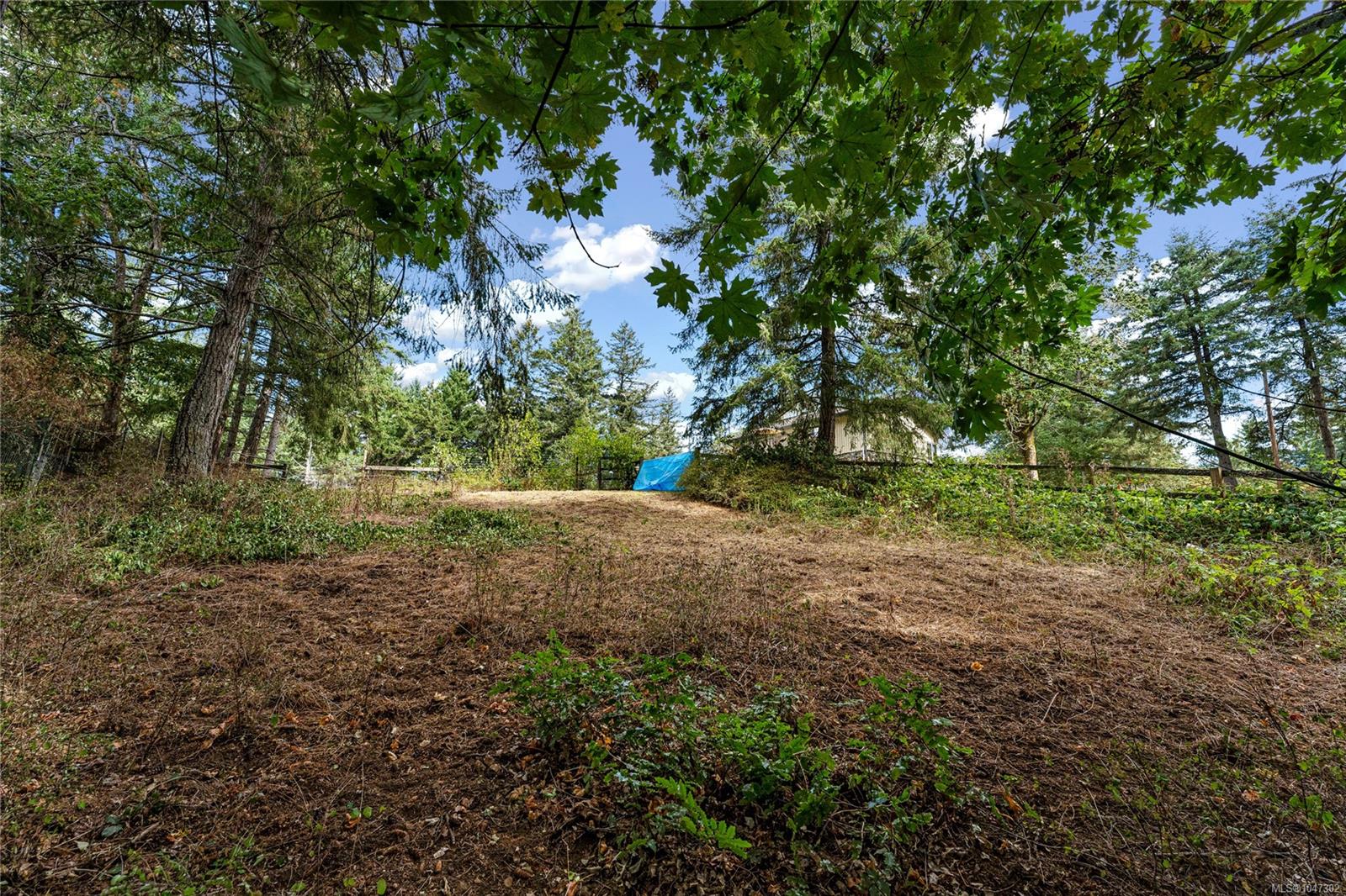 6101 Castlerock Rd