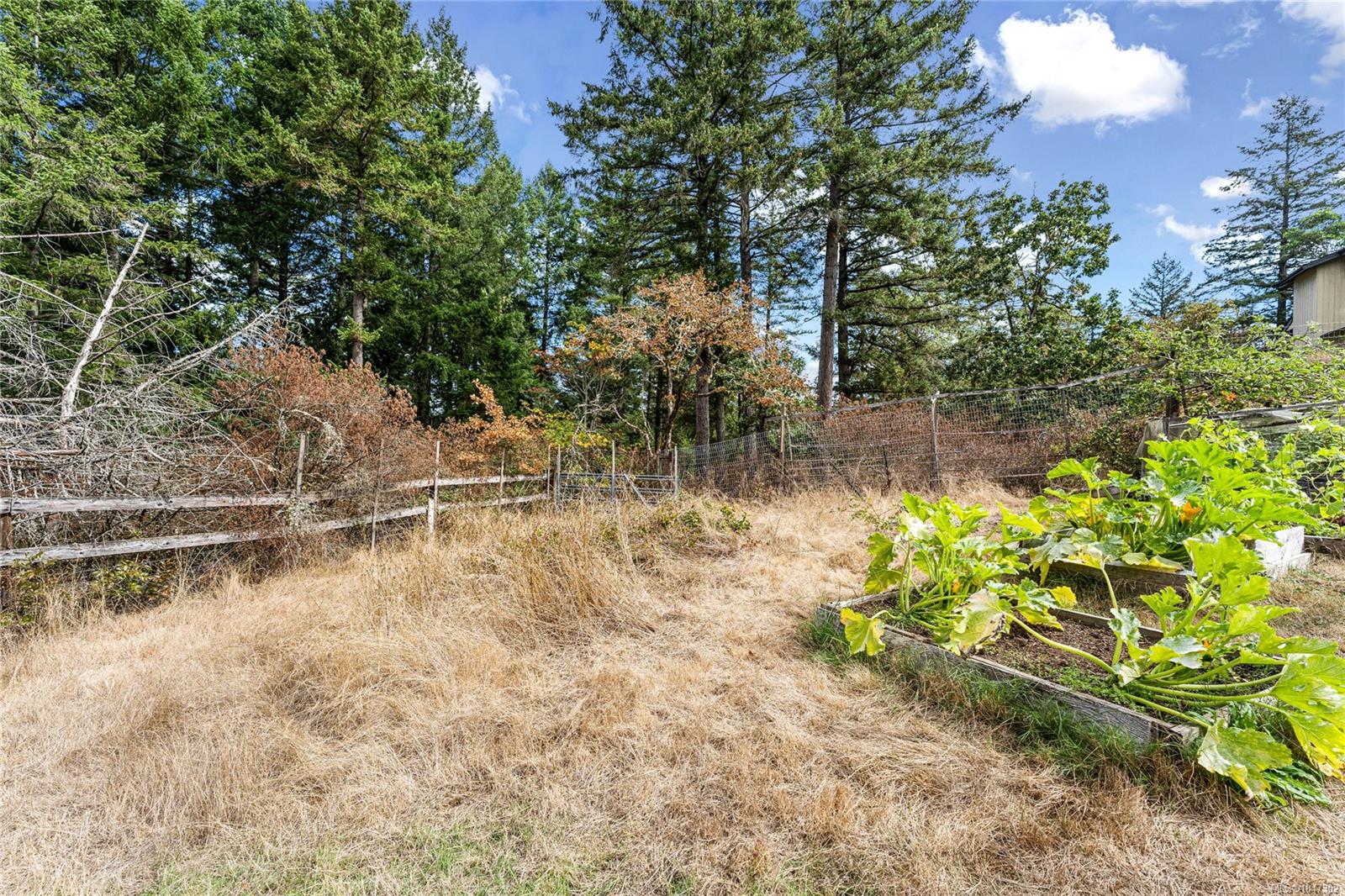 6101 Castlerock Rd