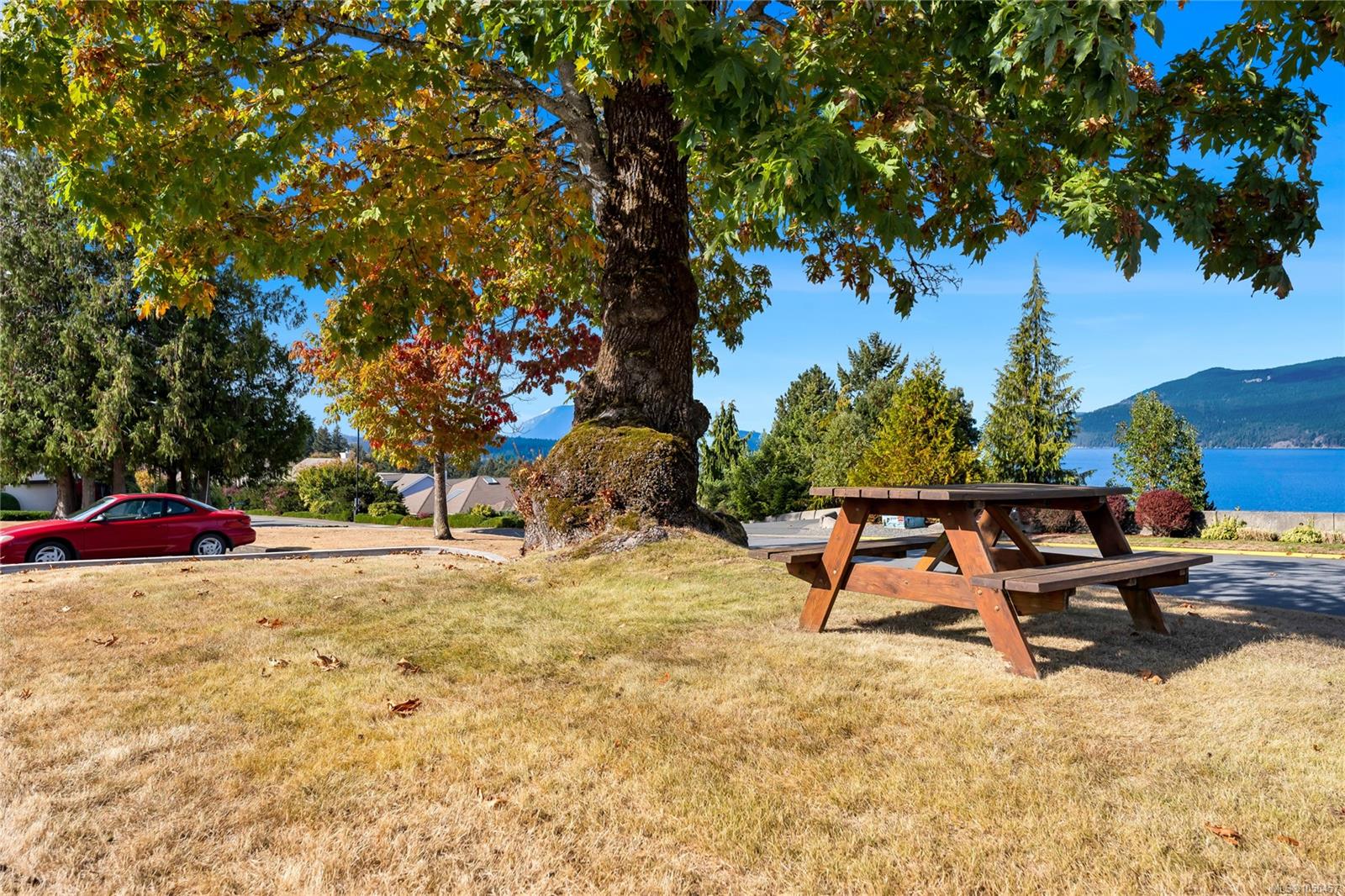 3673 Arbutus Dr
