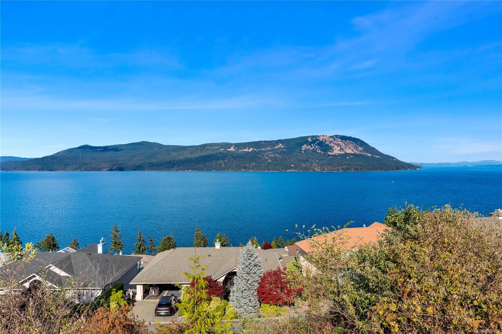 3673 Arbutus Dr