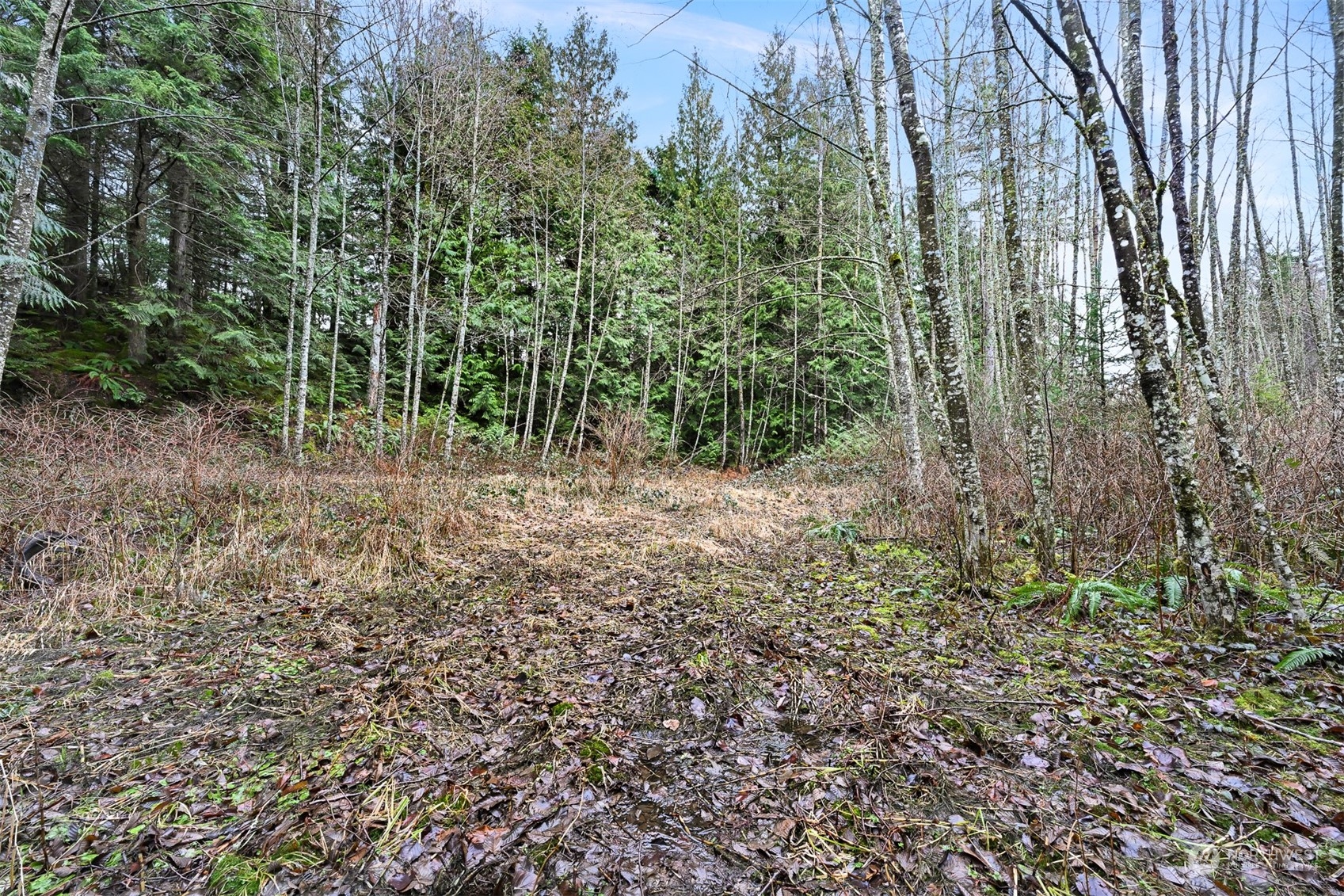 0 S Pass Road