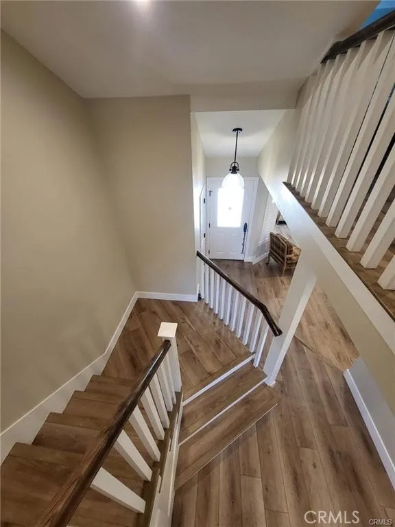 25172 Chestnutwood