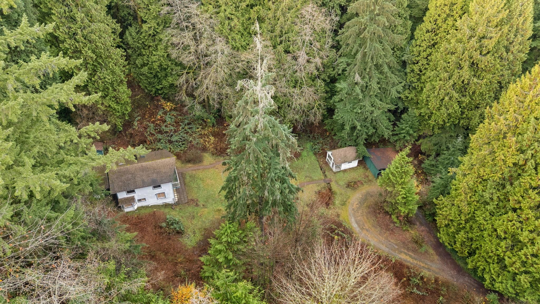 4520 LYNN VALLEY ROAD