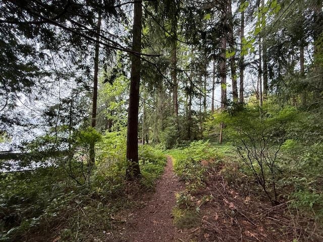 LOT 10 ELPHINSTONE AVENUE
