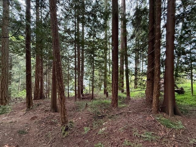 LOT 10 ELPHINSTONE AVENUE