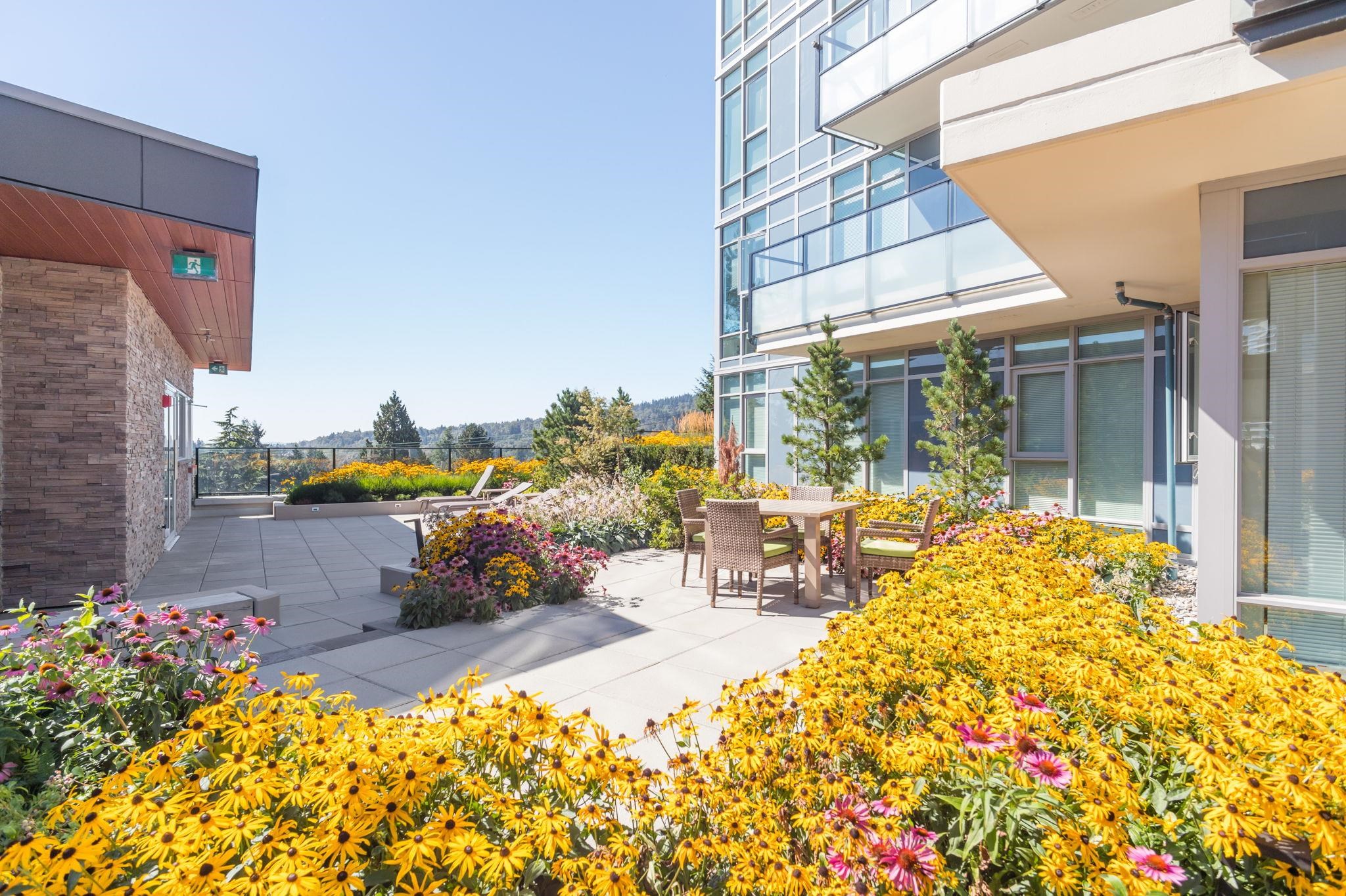 208 691 NORTH ROAD Unit: 208