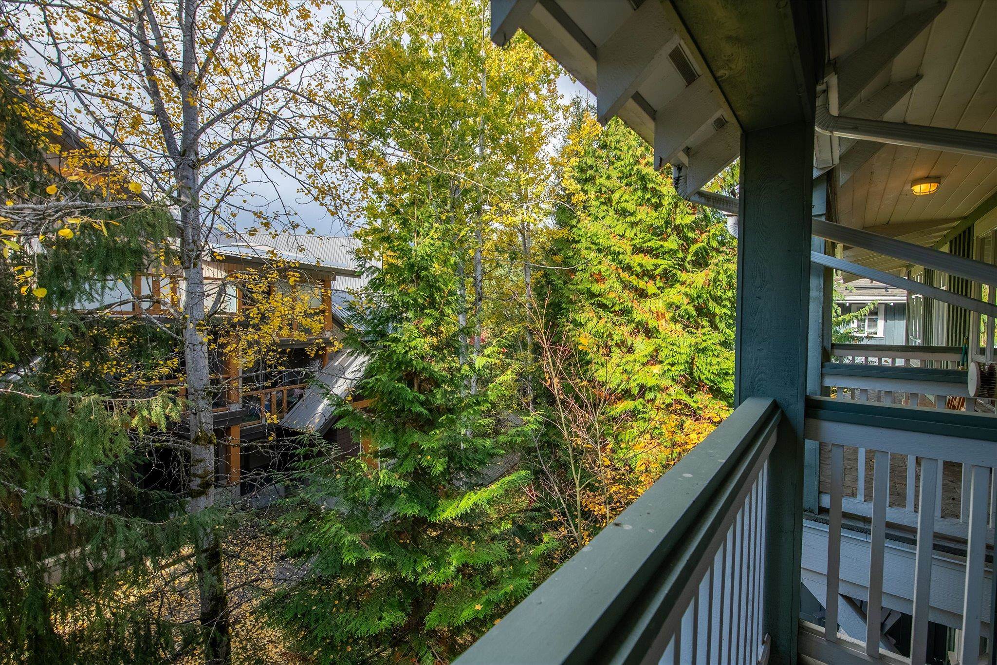 203 4405 BLACKCOMB WAY Unit: 203