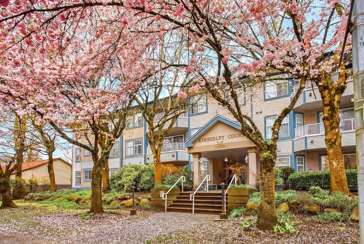 104 11960 HARRIS ROAD Unit: 104