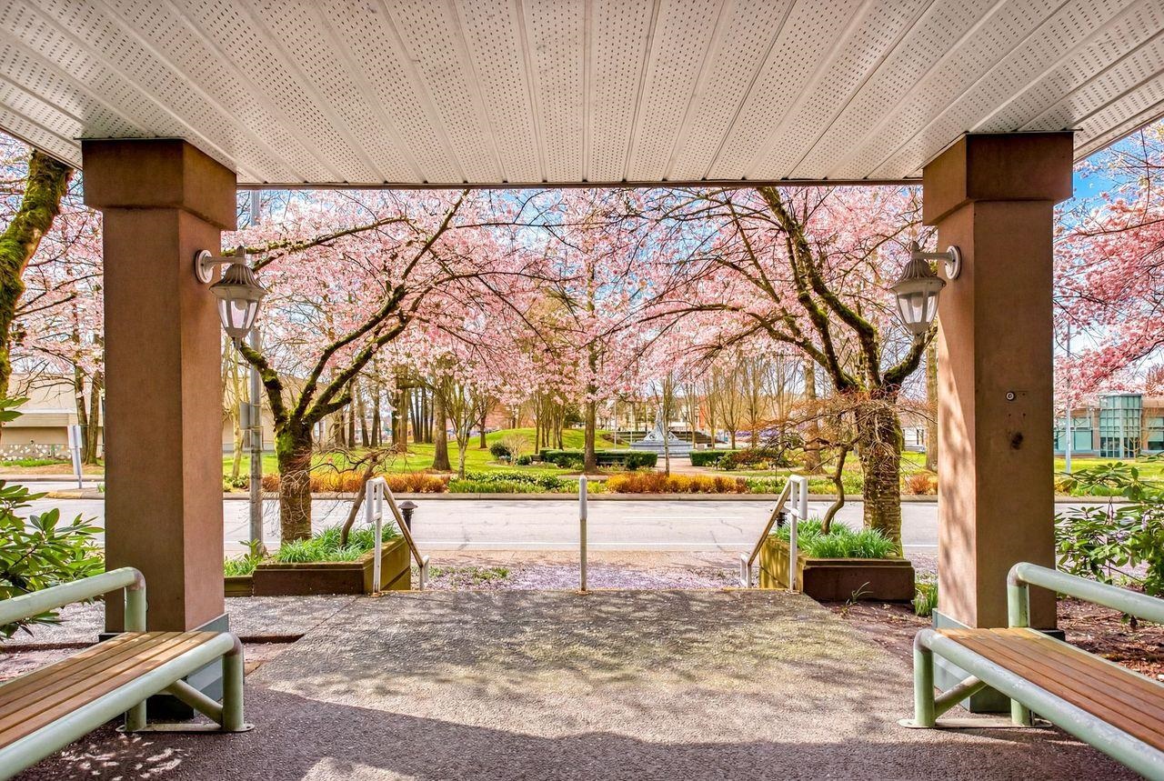104 11960 HARRIS ROAD Unit: 104