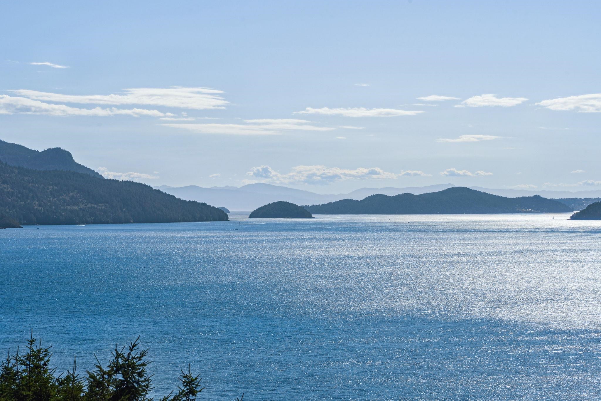 50 PANORAMA ROAD
