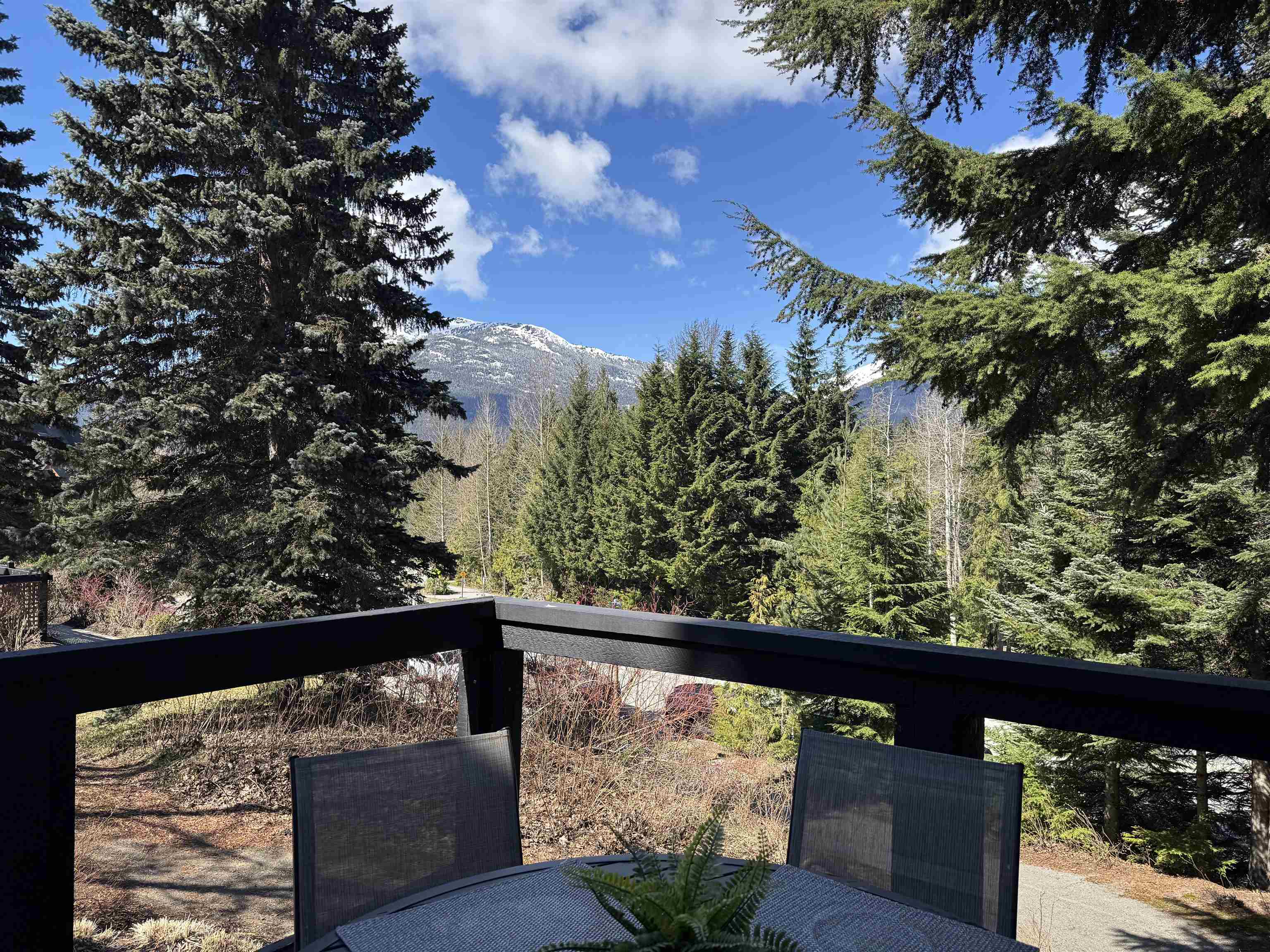 2 4637 BLACKCOMB WAY