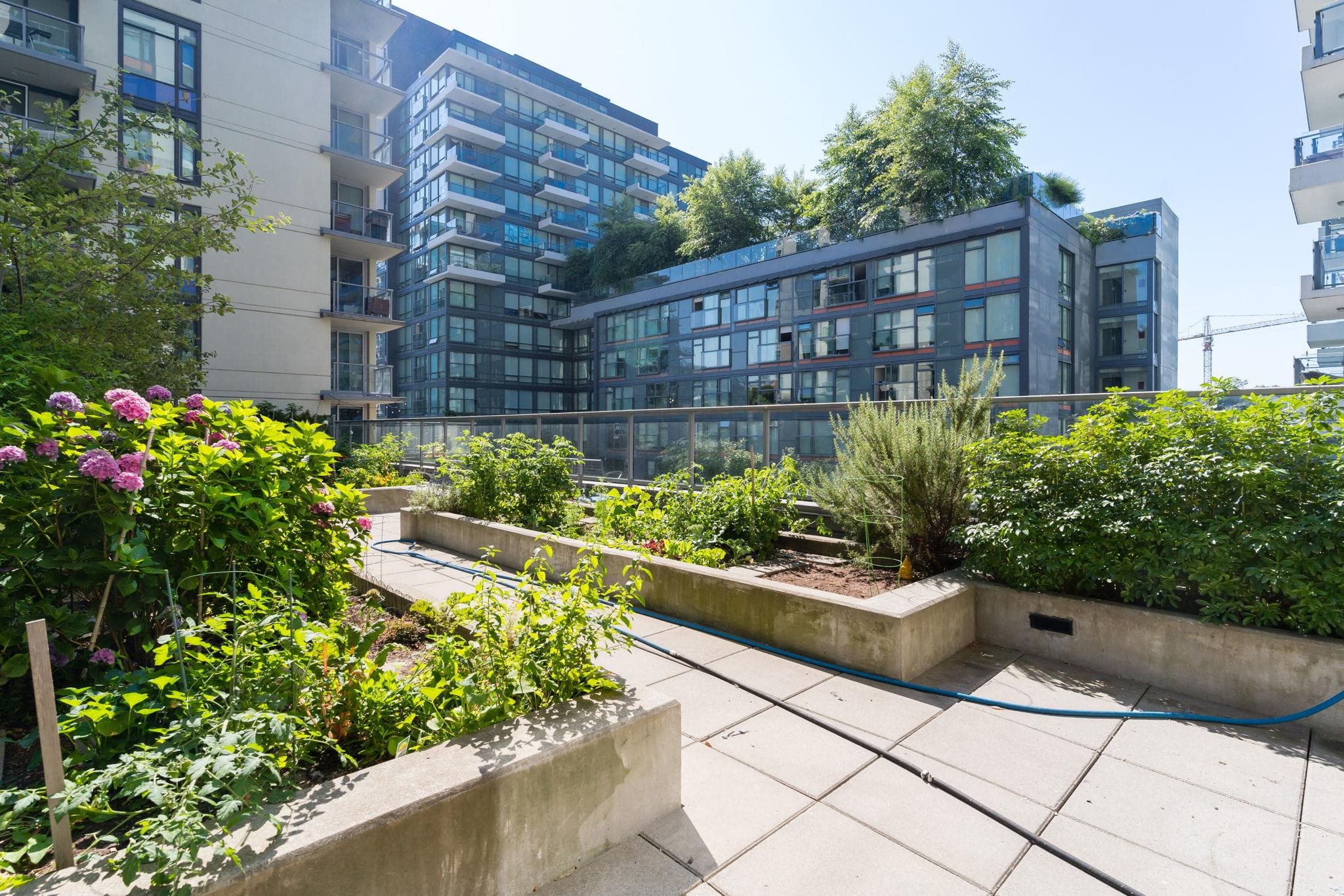 605 1708 COLUMBIA STREET Unit: 605